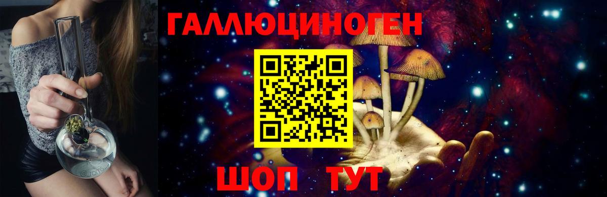 Полысаево  Псилоцибиновые грибы ЛСД  Вход с VPN 