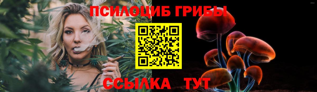 Псилоцибиновые грибы Psilocybine cubensis Полысаево